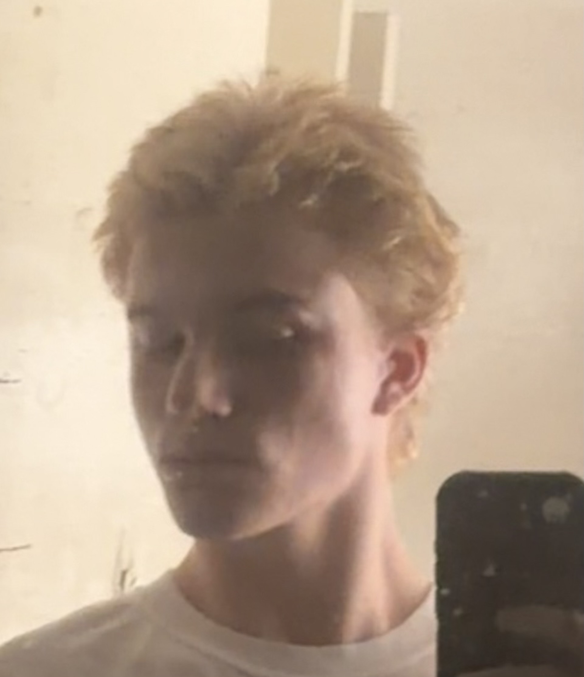 IMG 0113