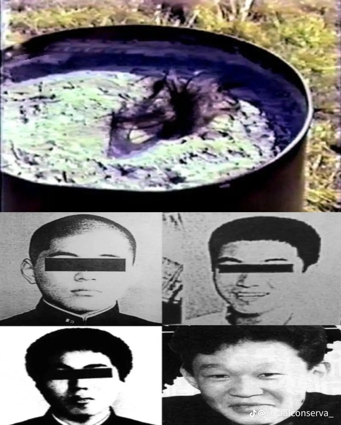 13146