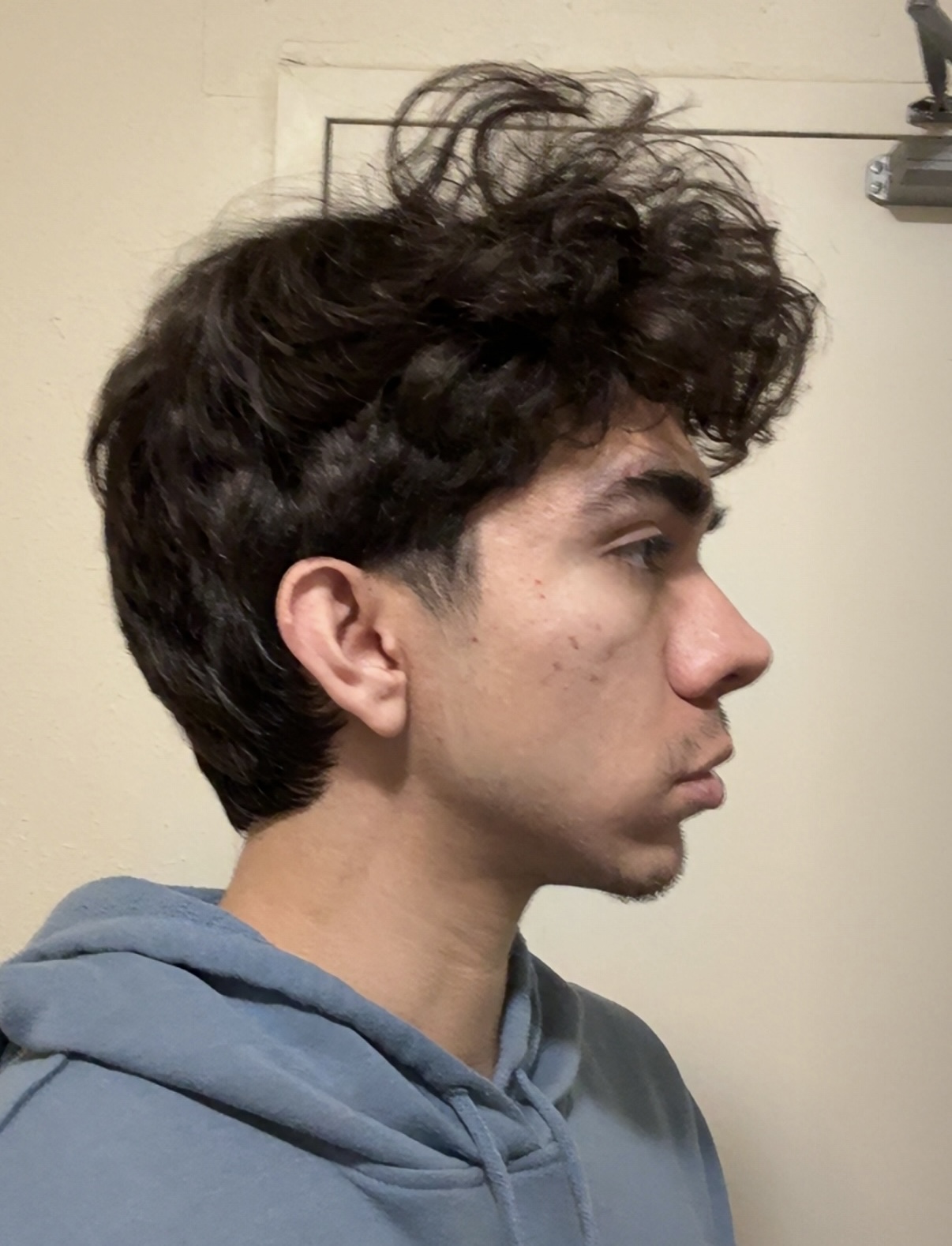 IMG 2124