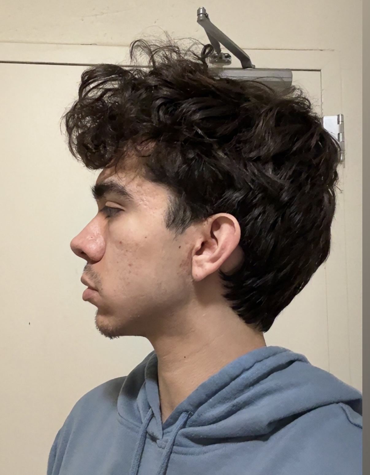 IMG 2125