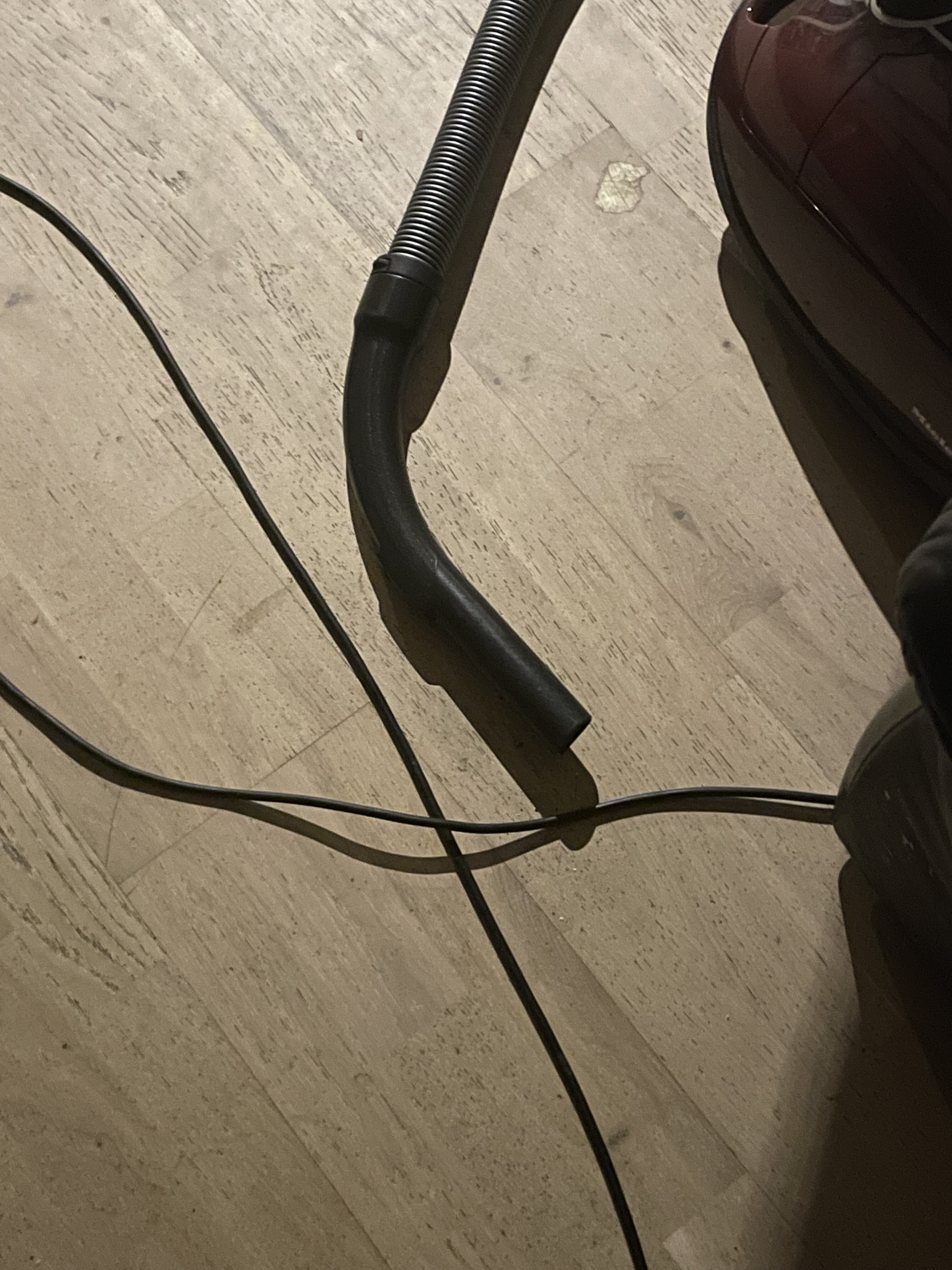IMG 3322