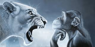 1000035229
