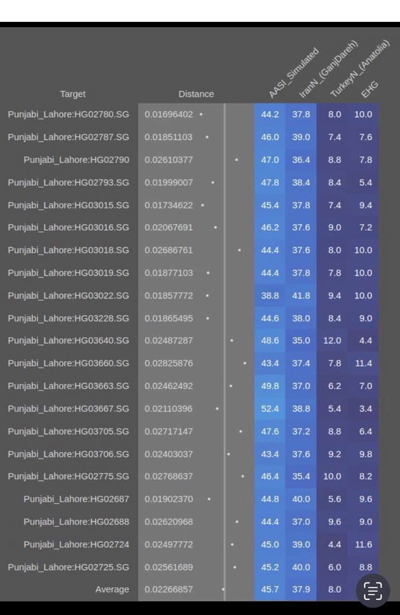 1000034848