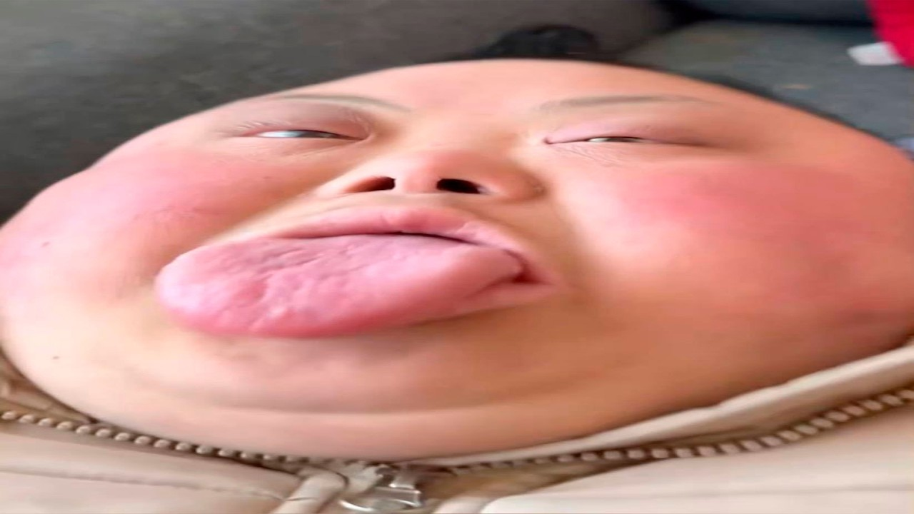 1788641440464