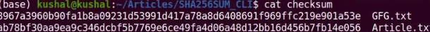 1788644954062