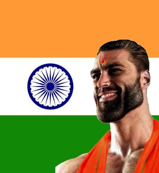 212798   soyboorucom   beard flag flag background gigachad india india indian nas focus pajeet