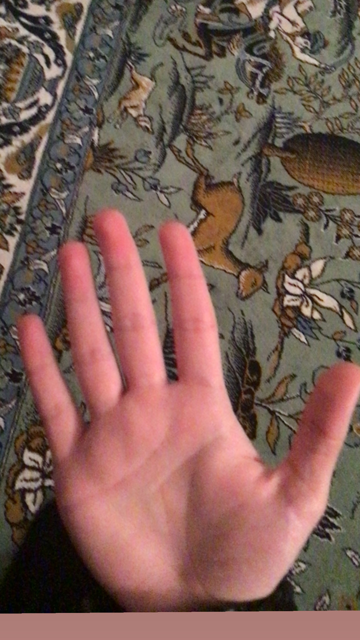 IMG 2738