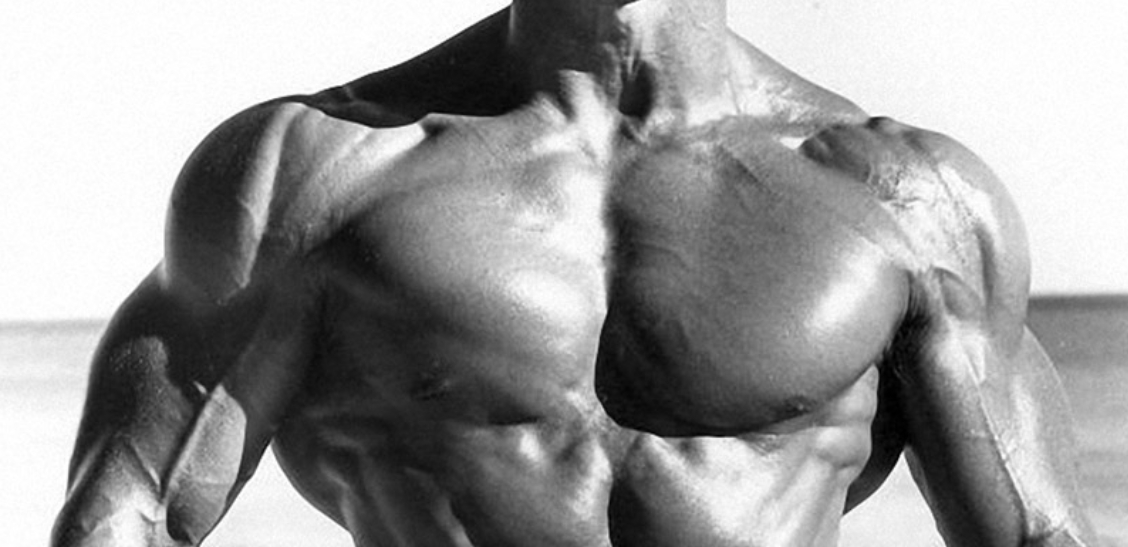 1000242161
