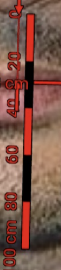 1788686143043