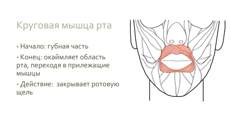 1788710634532