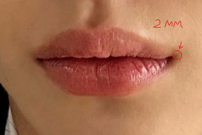 1788711053281