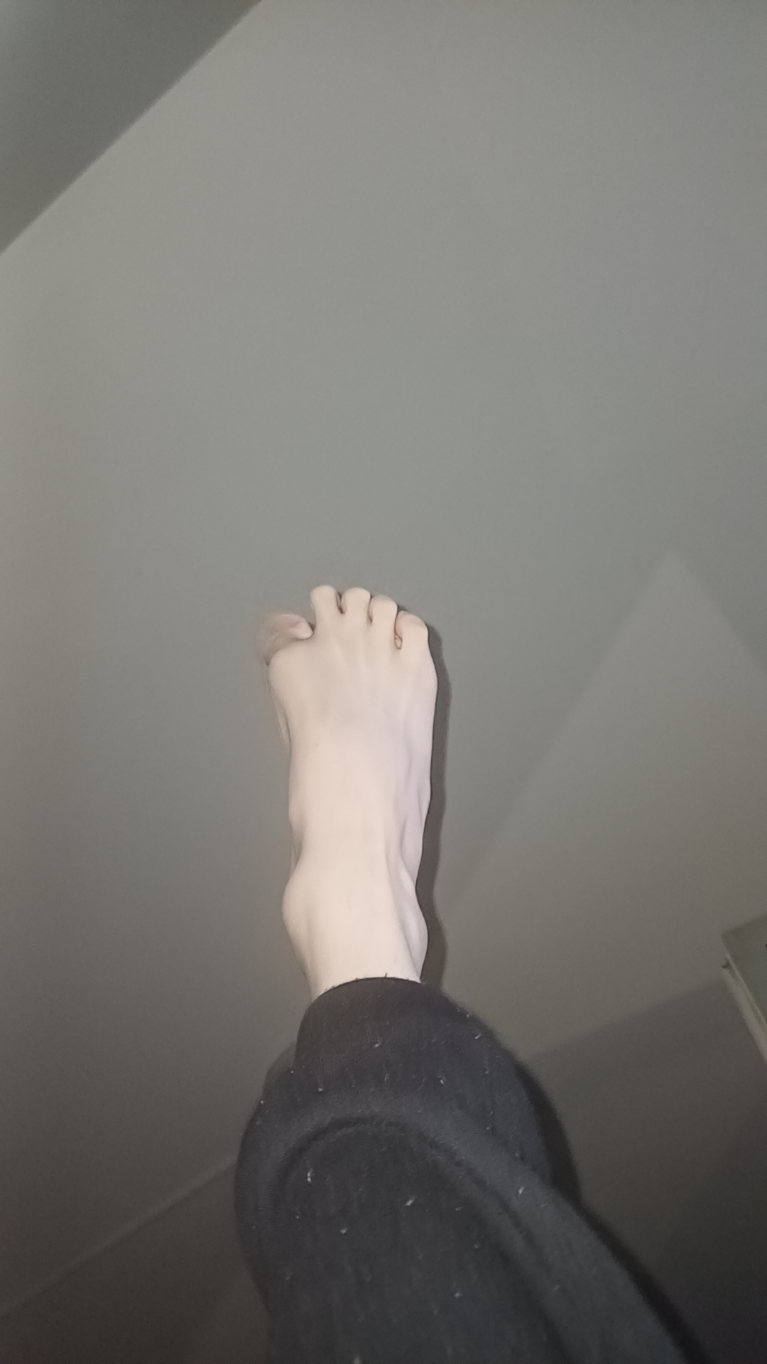 14877