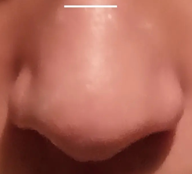 36991