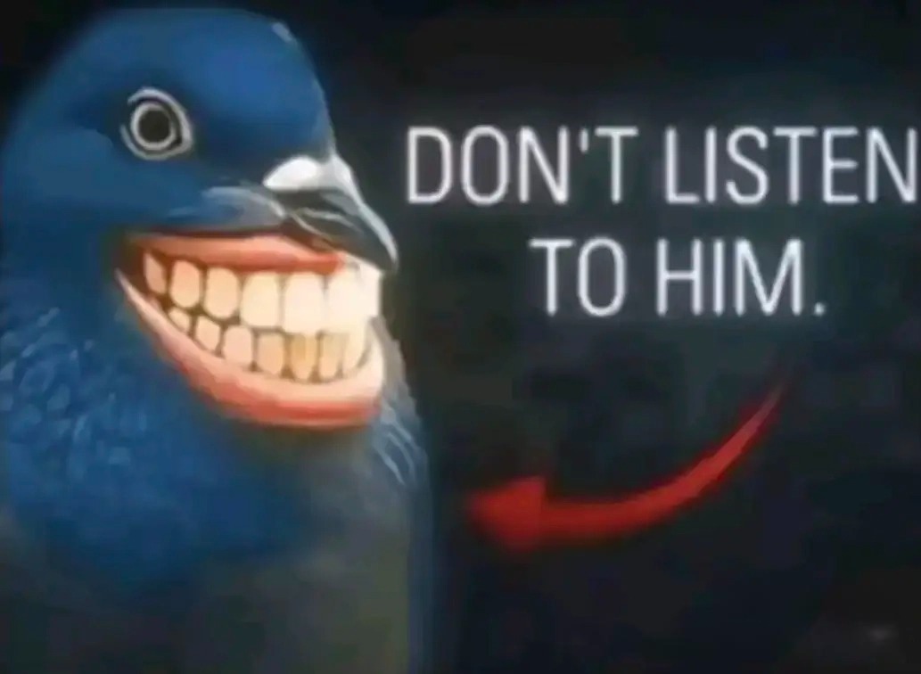 11162