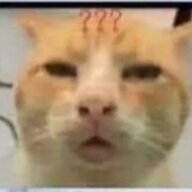 1788791918861
