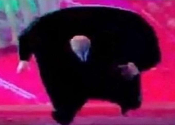 Kingpin