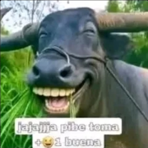 1000078885