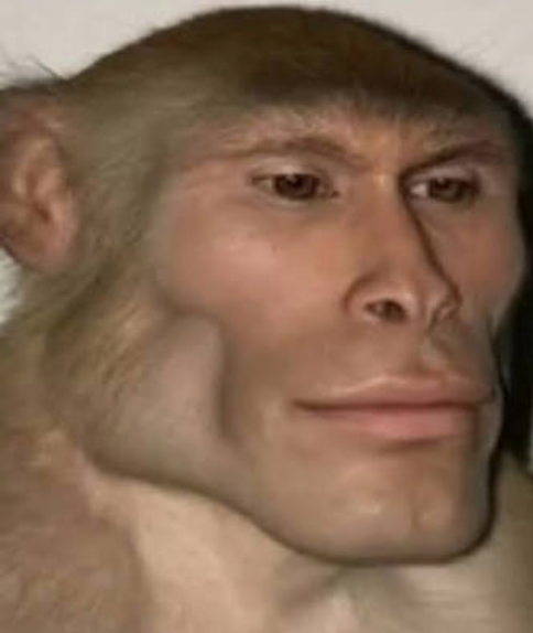 Monkey