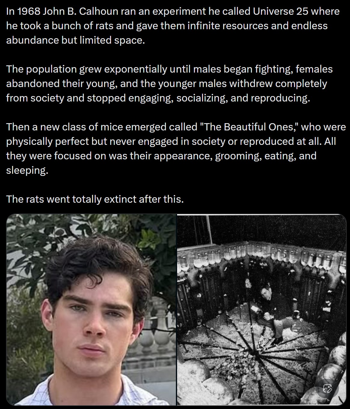 Blackpillknowledge