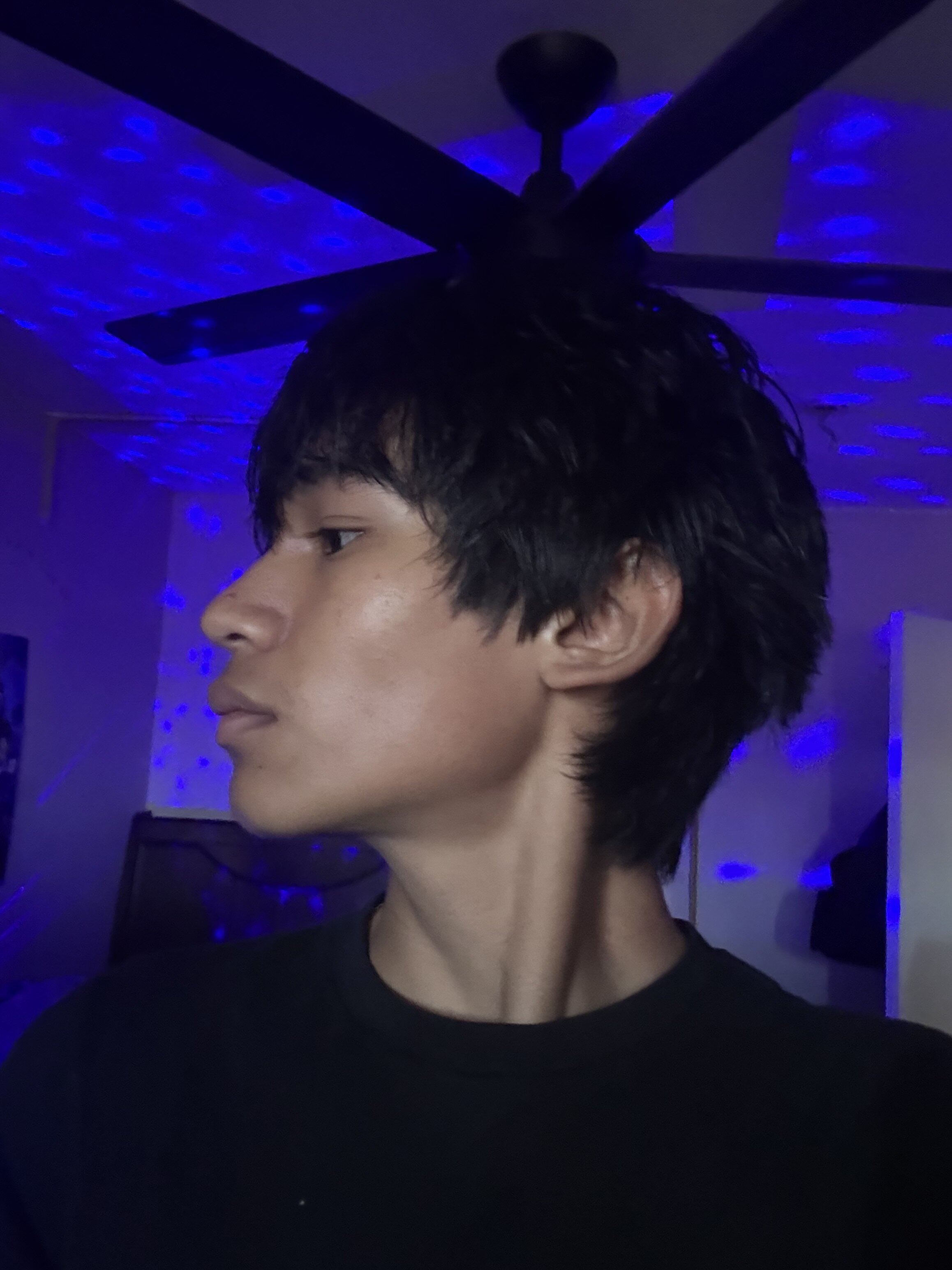 IMG 1371