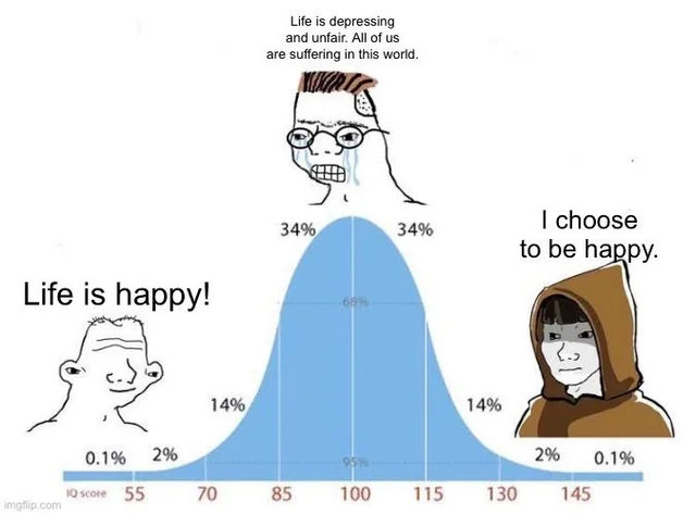 Bell curve of happiness in life v0 p00dslkz95qg1
