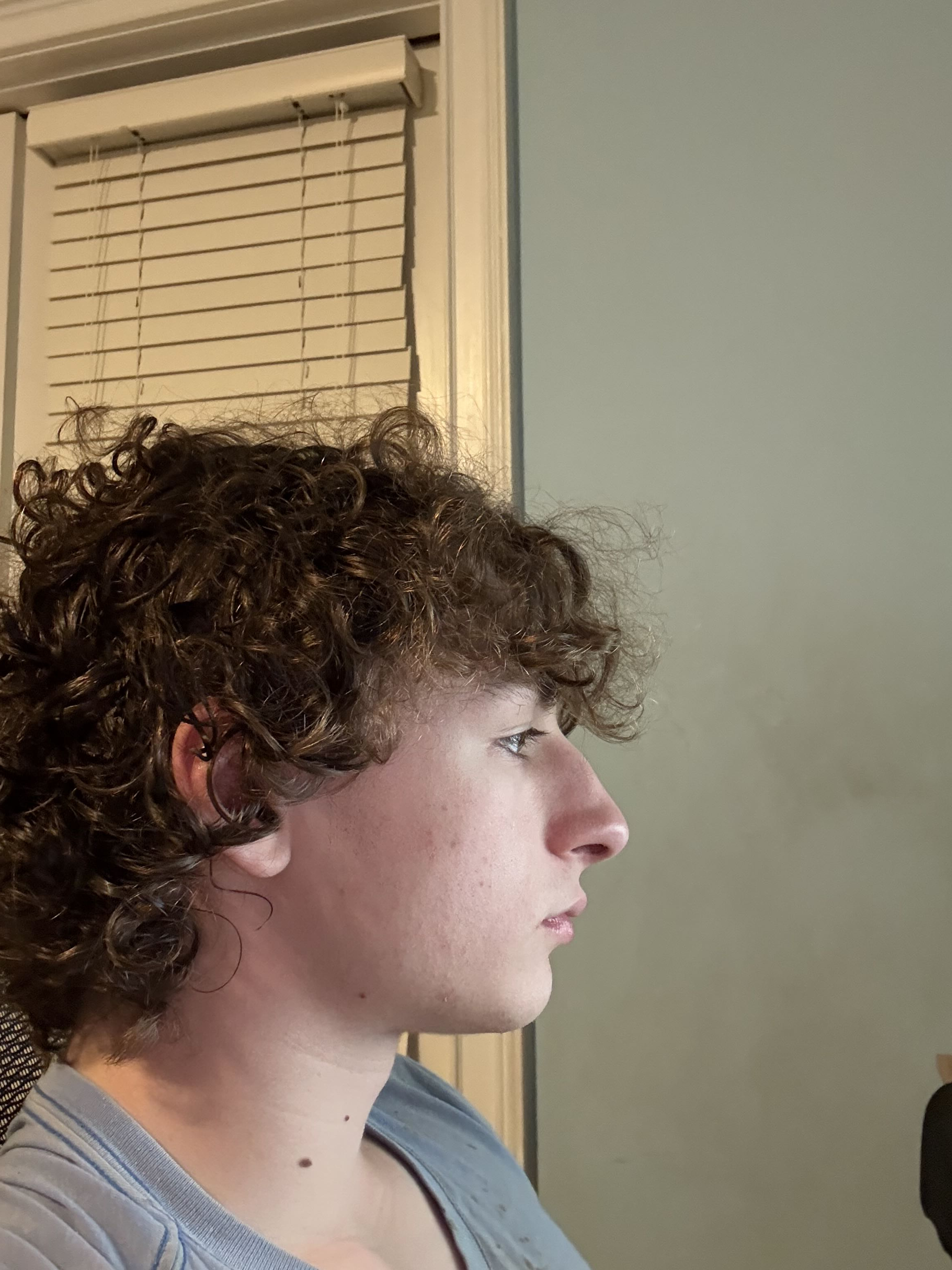 IMG 22
