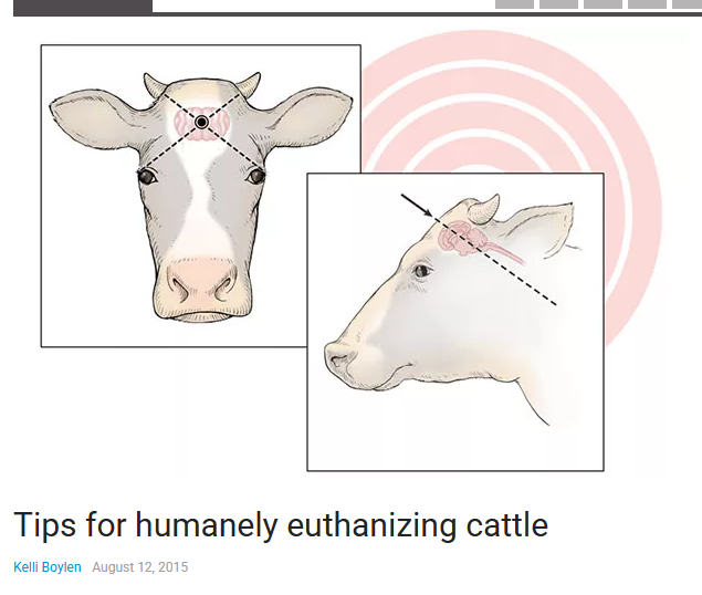 16283
