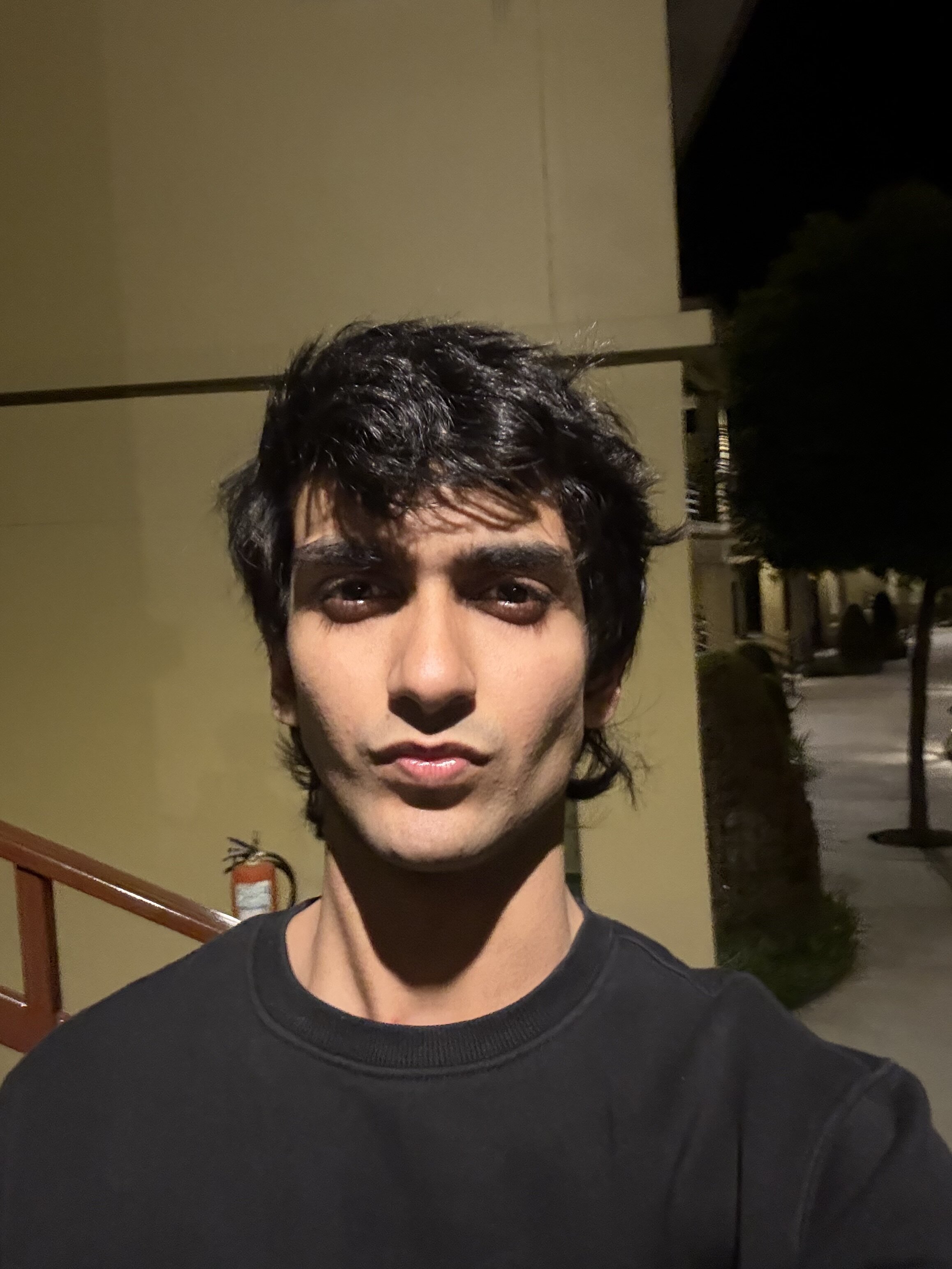 IMG 7443