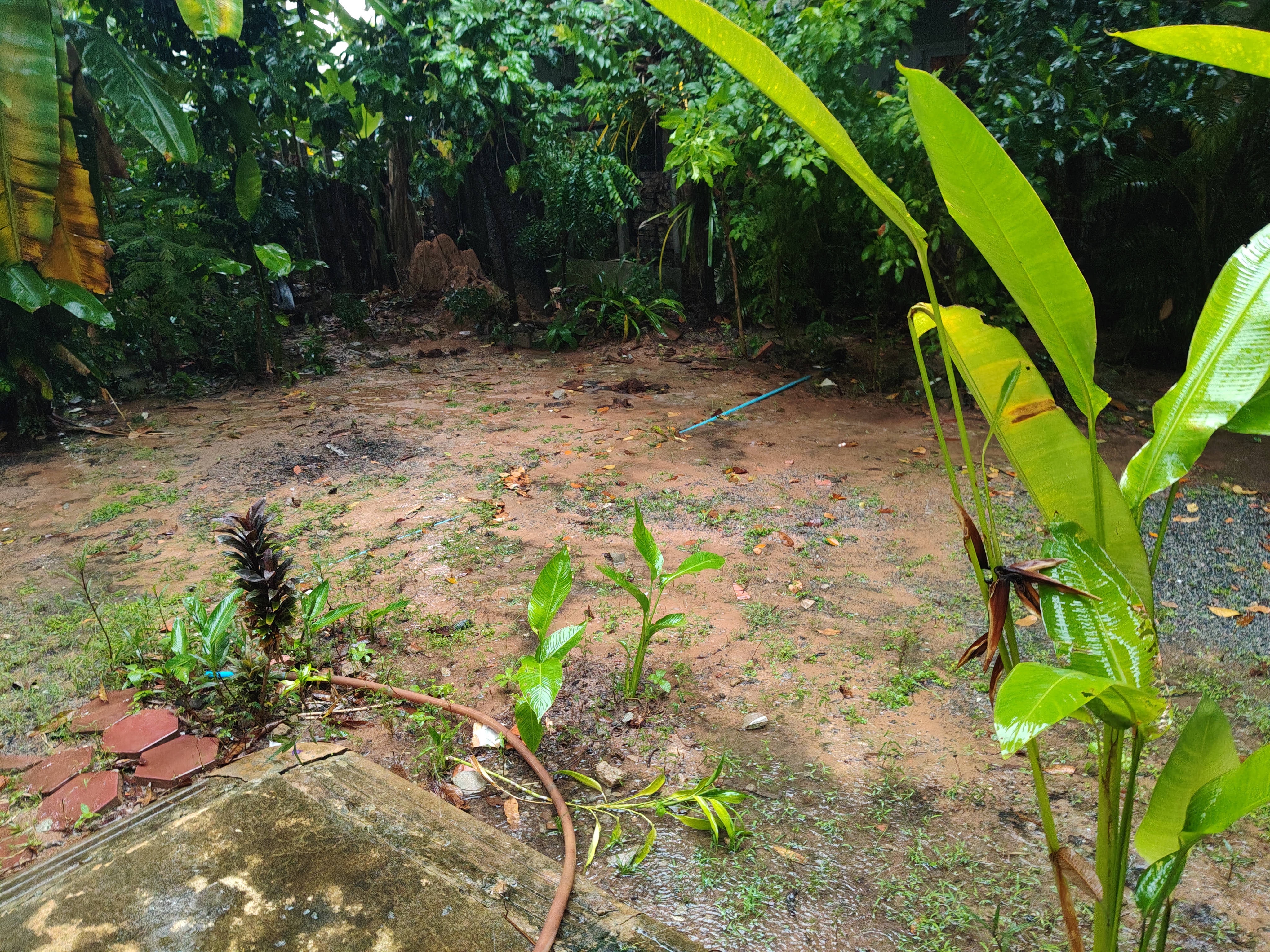 IMG 20260910 120121