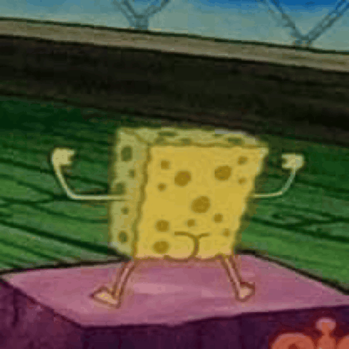 IMG 2555