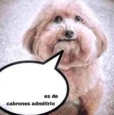 8e00d5657d3cd528b46c5671c006c5a4