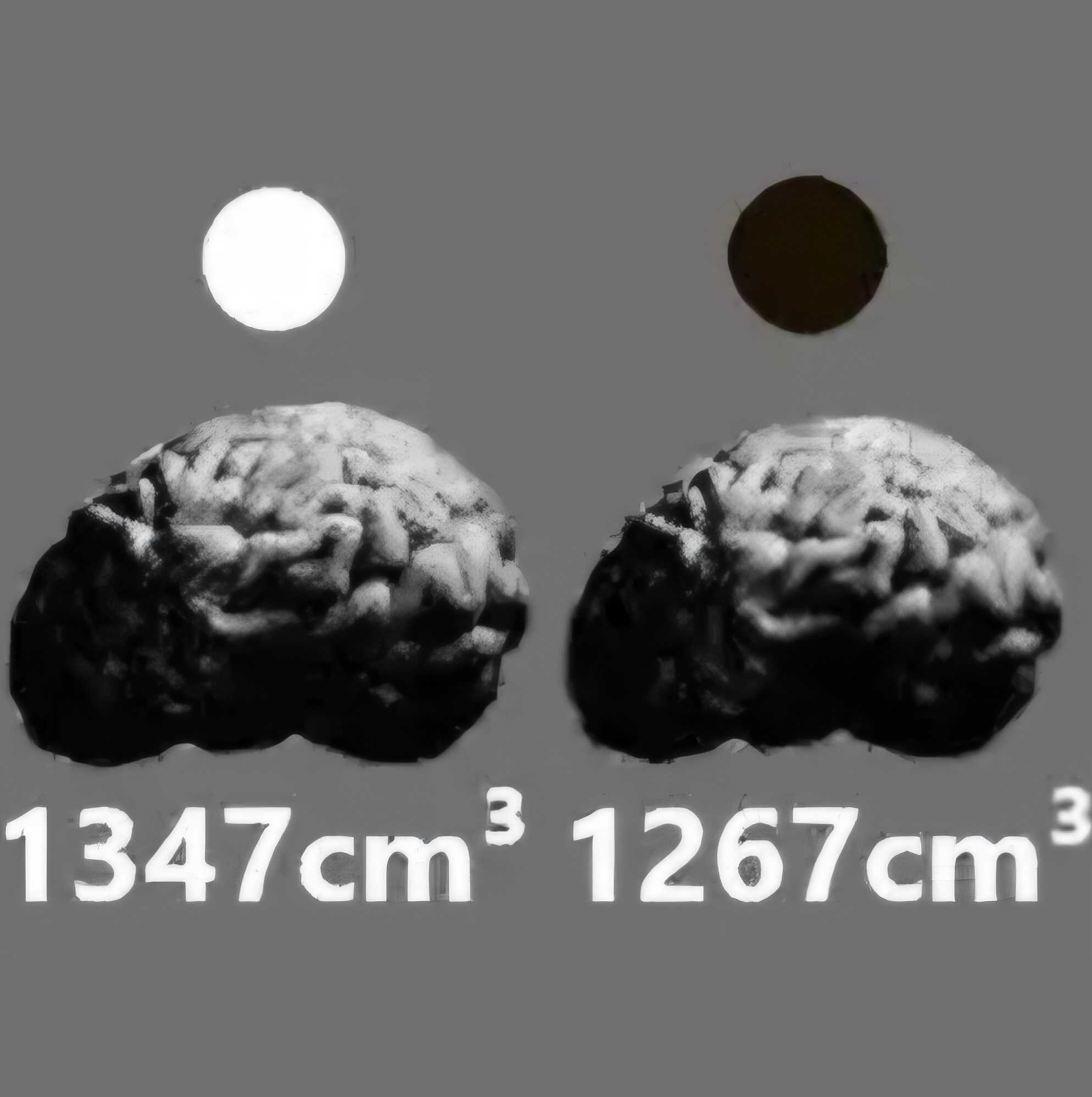 1789140606042