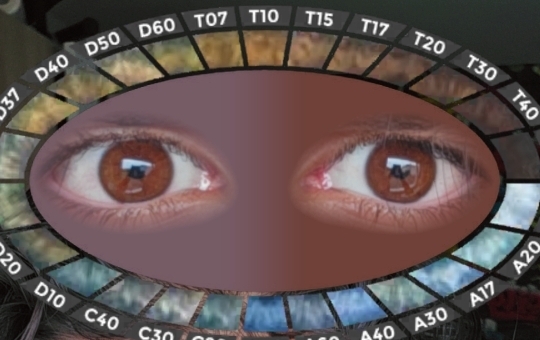 Screenshot 20260912 172253 TikTok
