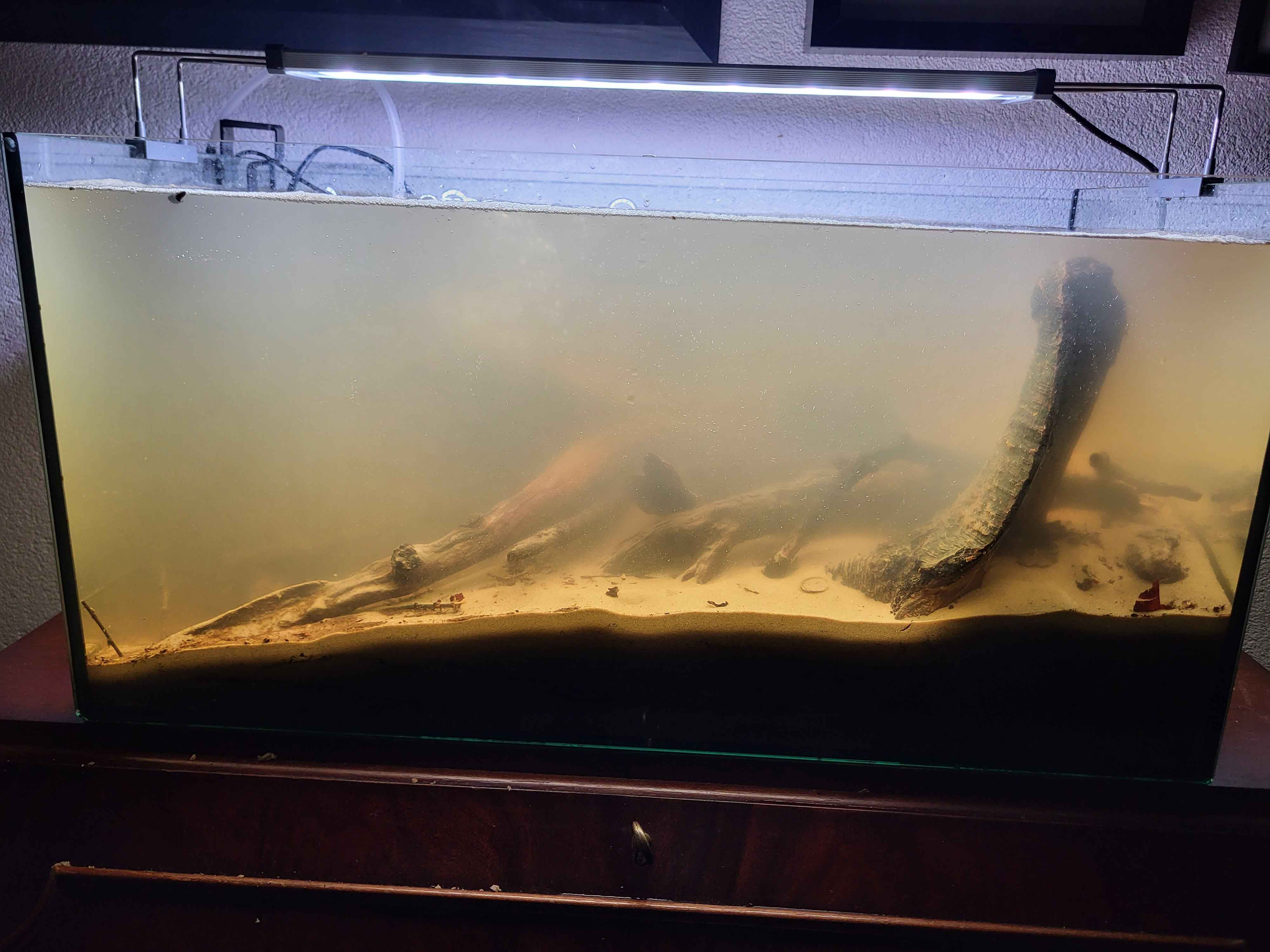 1789254310419