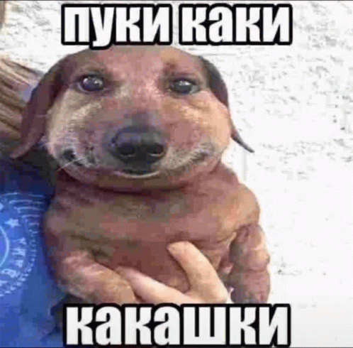 1000023621