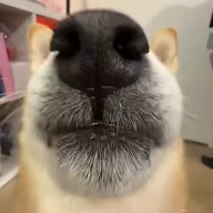 1789261745387