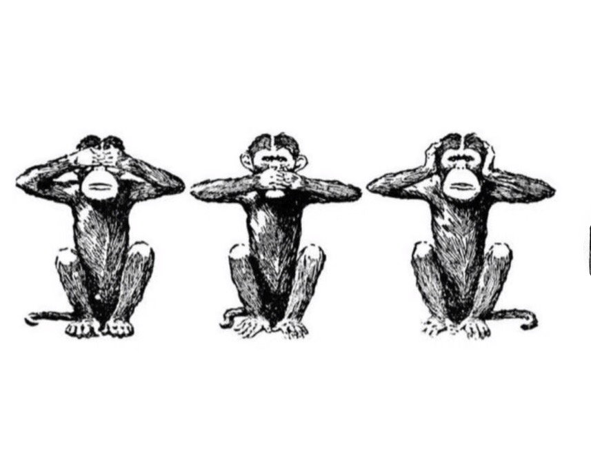 IMG 9975