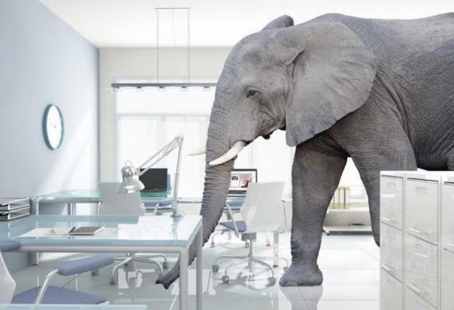 Elephant