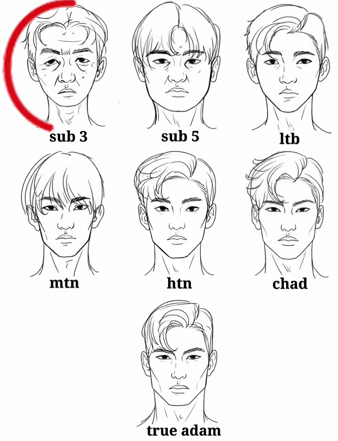 1000095178