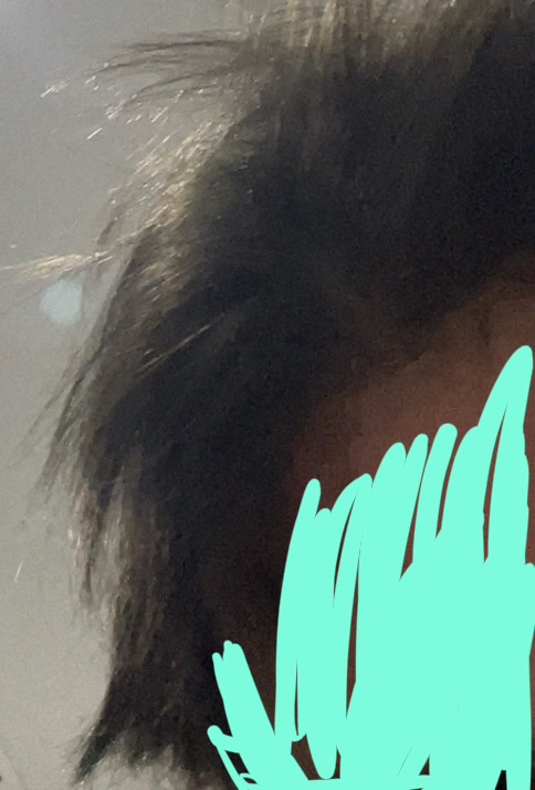 IMG 3392
