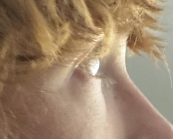 IMG 2331