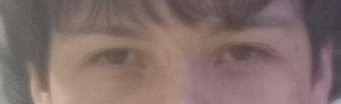 1000069508