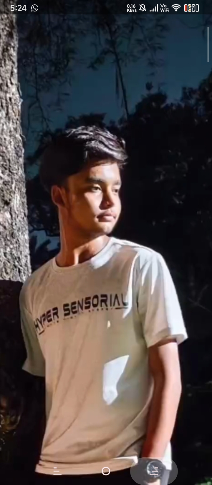 1000071295