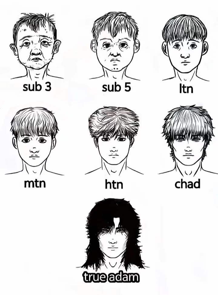 True Adam chart looksmaxxing