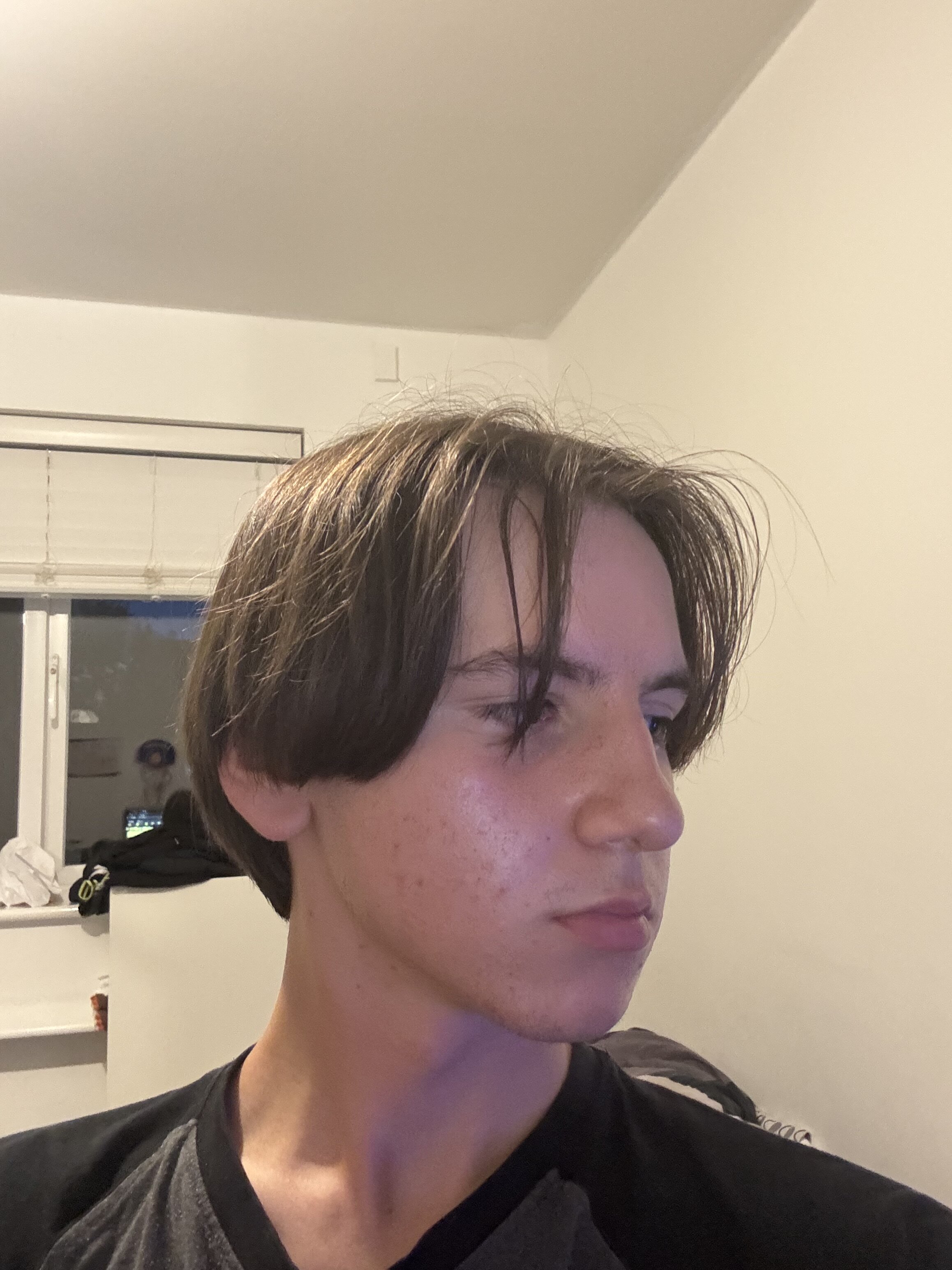 IMG 1595