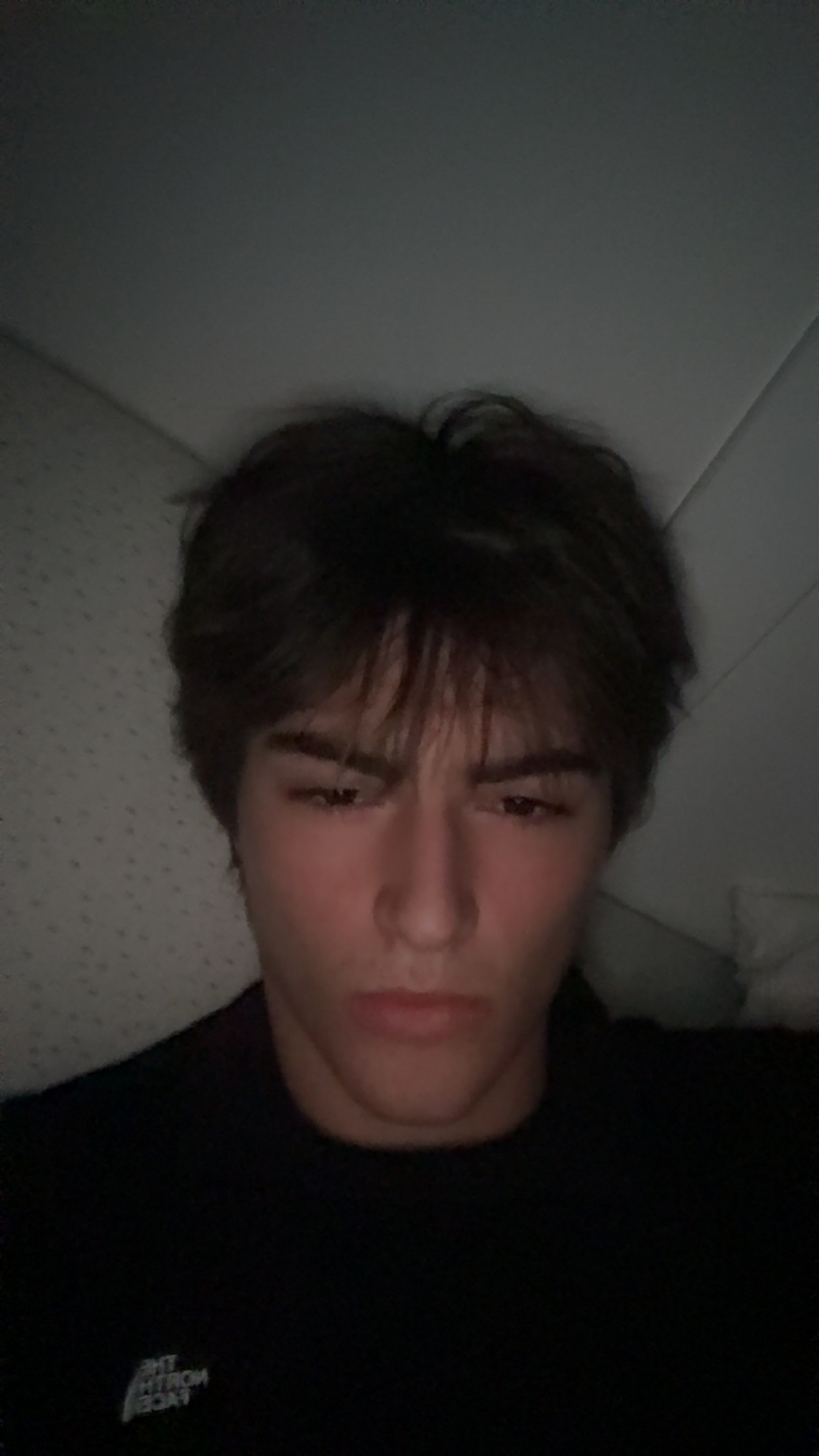 IMG 2460