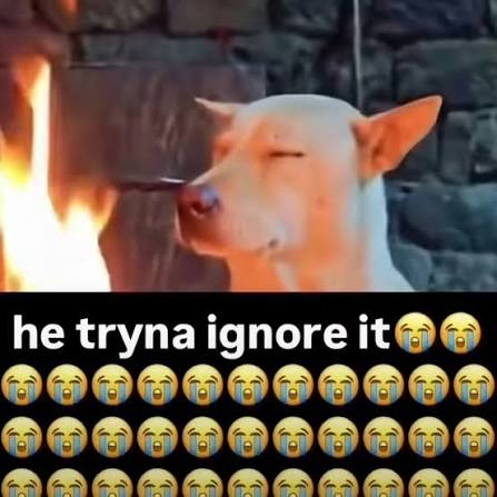 1789534942653