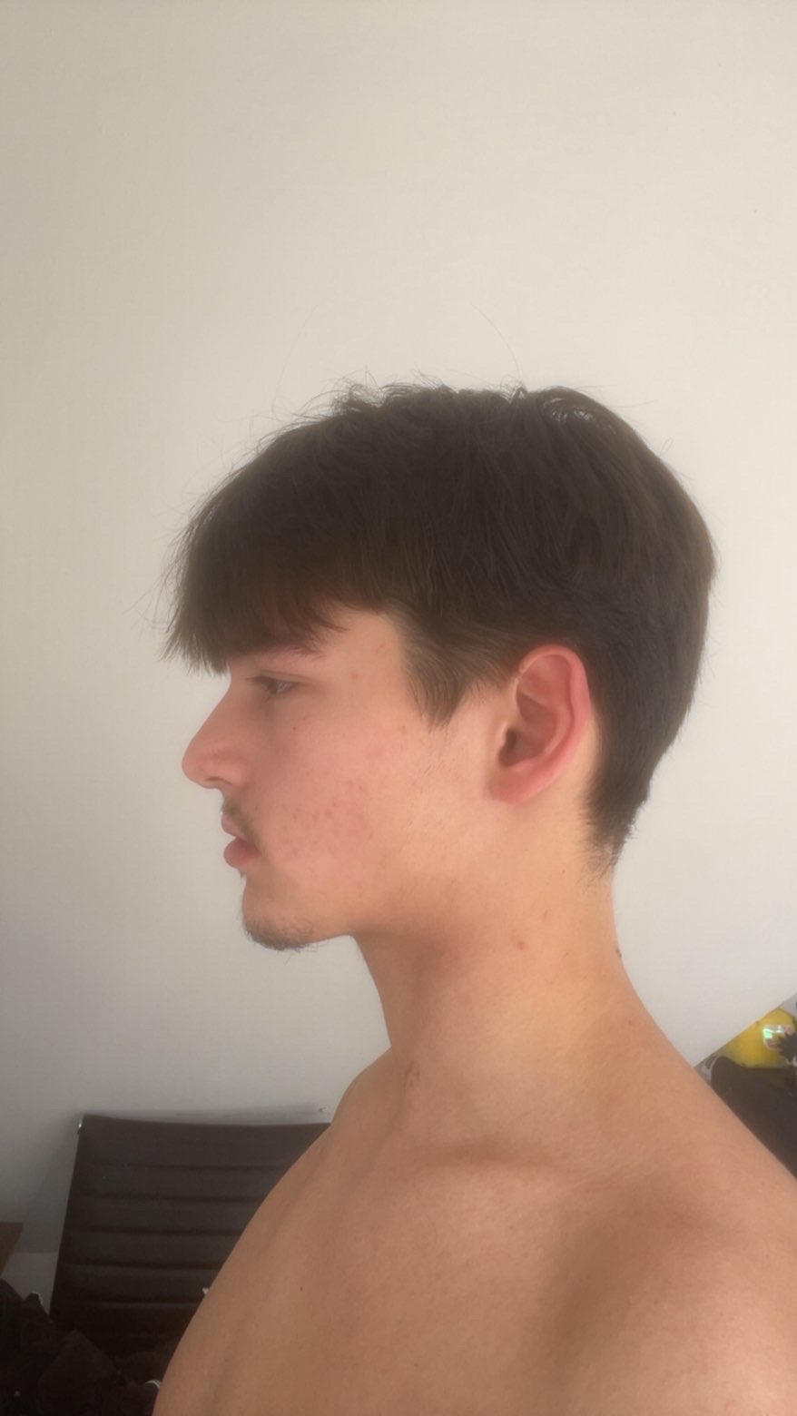 IMG 0018