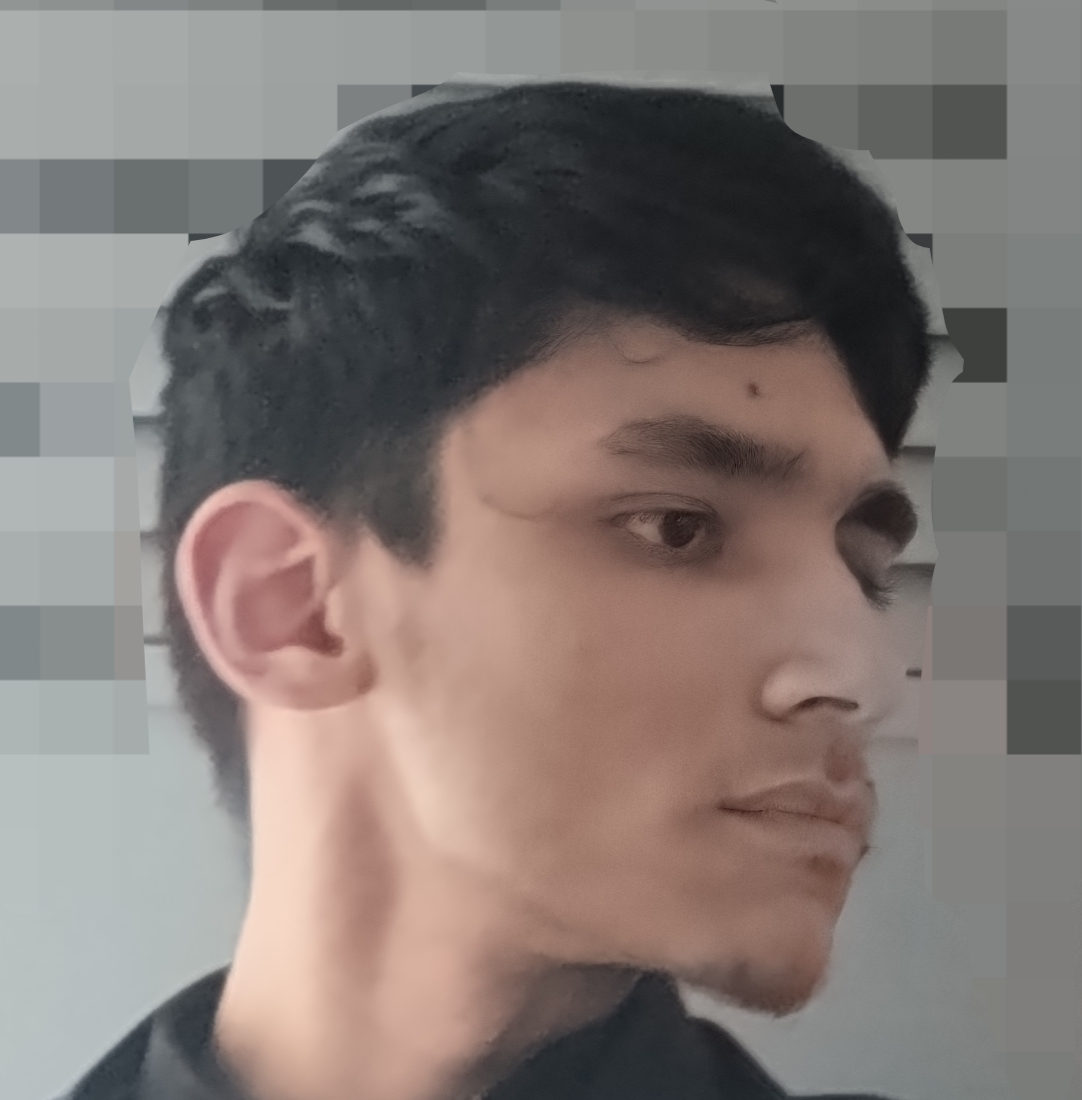 6829733 3929
