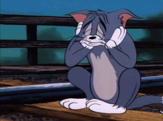 Tom and jerry tom